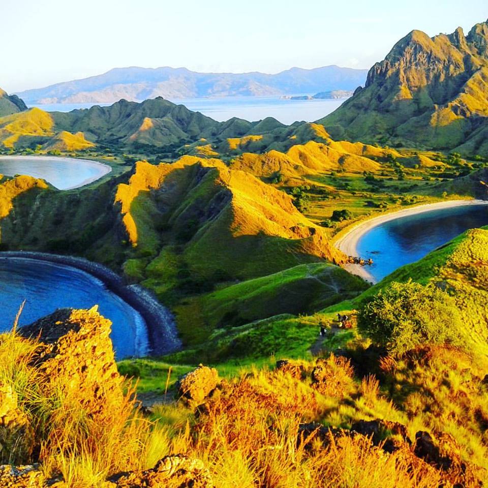 Komodo flores tour